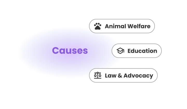Causes Nonprofit